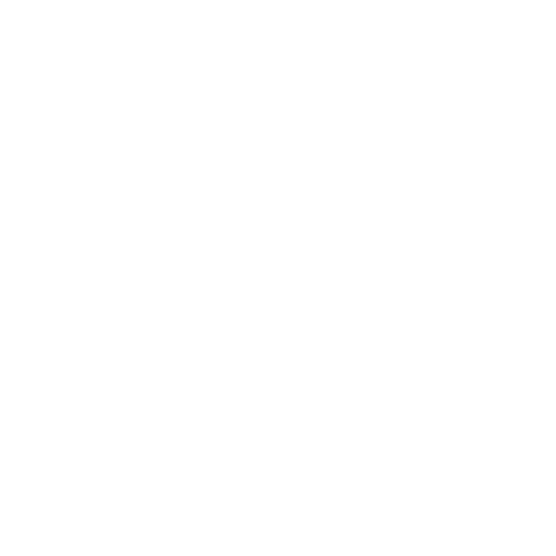 oem